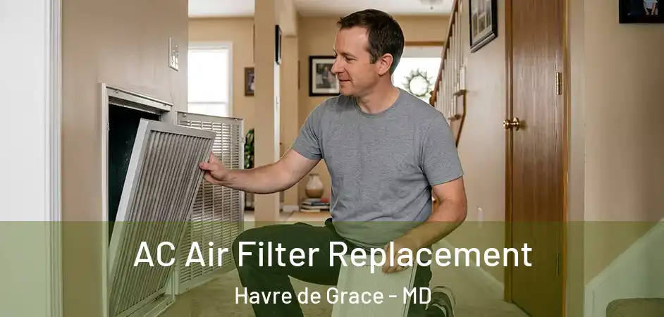 AC Air Filter Replacement Havre de Grace - MD