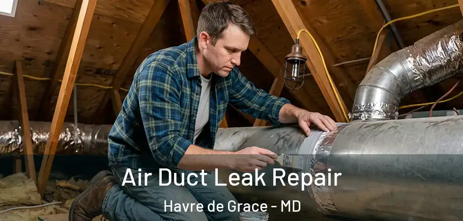  Air Duct Leak Repair Havre de Grace - MD