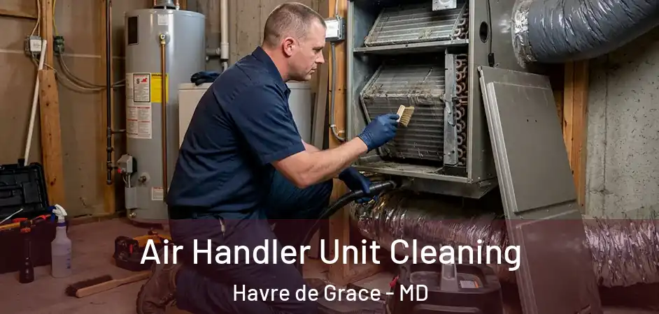  Air Handler Unit Cleaning Havre de Grace - MD