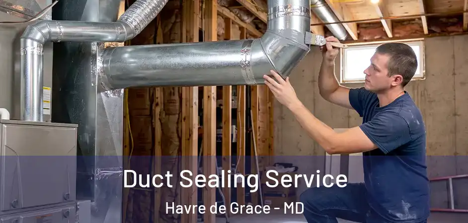  Duct Sealing Service Havre de Grace - MD