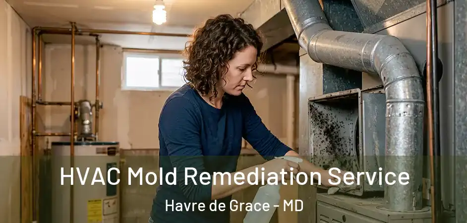  HVAC Mold Remediation Service Havre de Grace - MD
