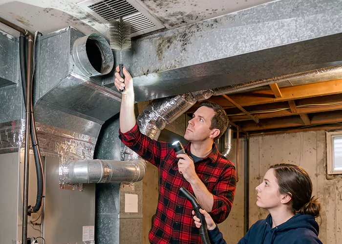 Premier HVAC Mold Remediation Company in Havre de Grace